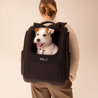 intro-kamella-backpack