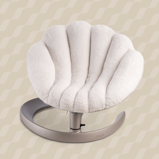 intro-shell-latte_1_1