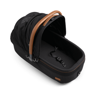 medium pet carrier with open canopy and leash