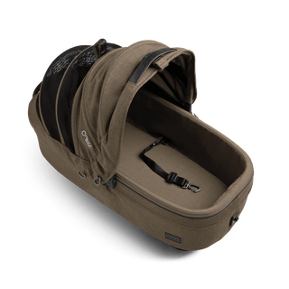 medium pet carrier with open canopy and leash