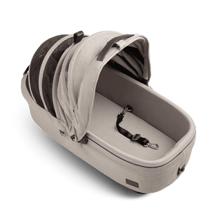 medium pet carrier with open canopy and leash