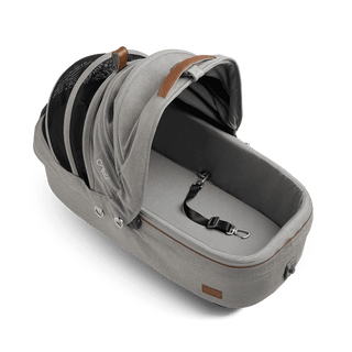 medium pet carrier with open canopy and leash