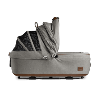 medium pet bed with mesh panels in canopy