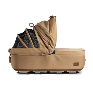 medium pet bed with mesh panels in canopy