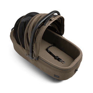 medium pet carrier with open canopy and leash