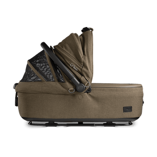 medium pet bed with mesh panels in canopy