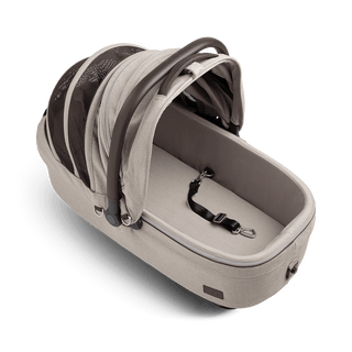 medium pet carrier with open canopy and leash