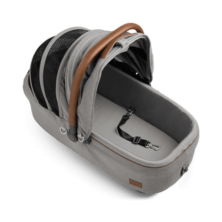 medium pet carrier with open canopy and leash