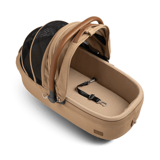 medium pet carrier with open canopy and leash