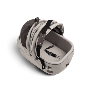 small pet carrier with open canopy and leash